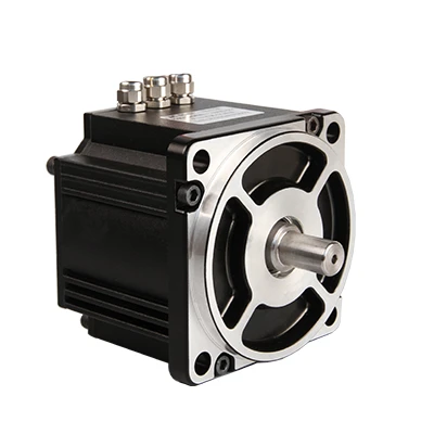 100X100mm 1000w 2000rpm 4.8Nm 48VDC Servo motè